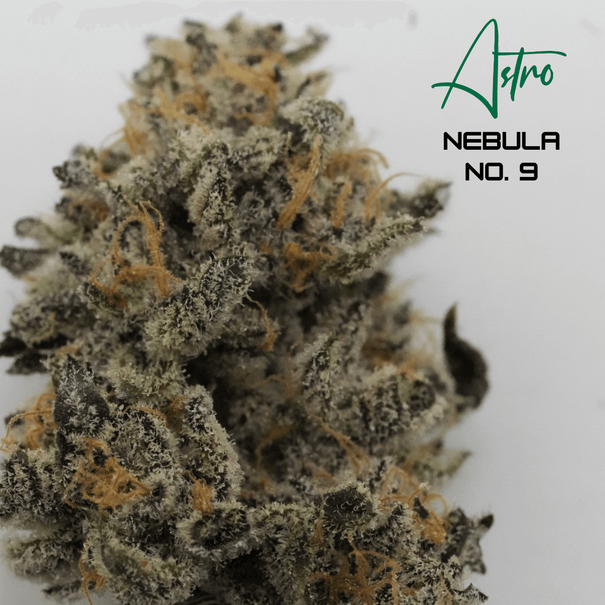 Astro Nebula No. 9