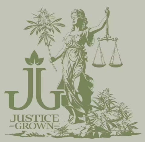 JG GMO x Strawberry Guava