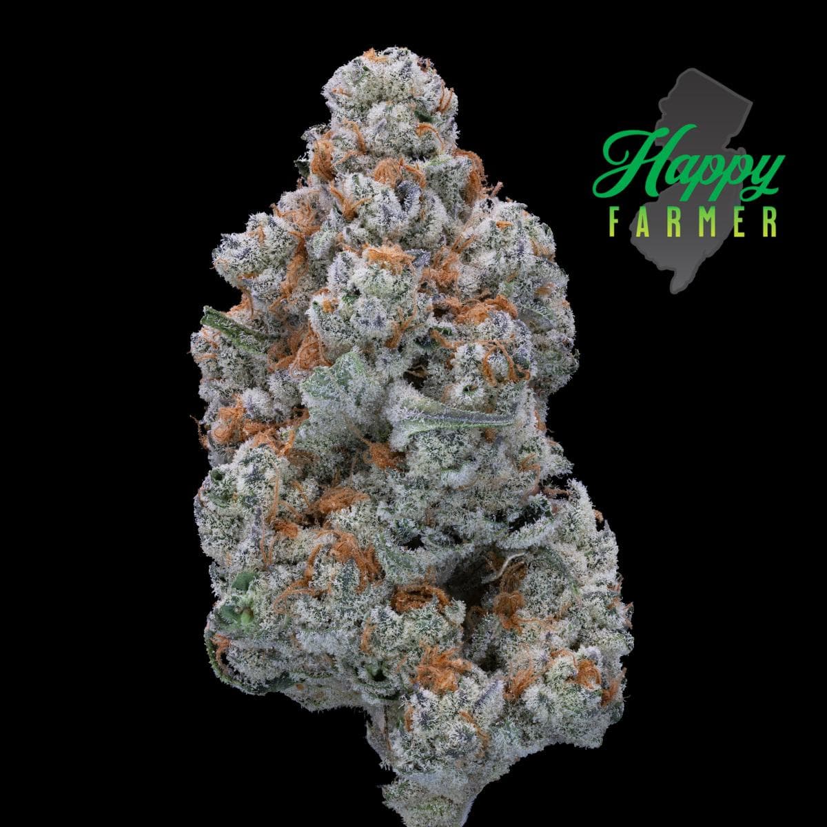 Happy Farmer Truffle Jordan Premium Jar
