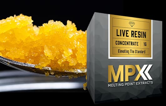 MPX Pine Barrens Dreamfuel Live Resin Badder