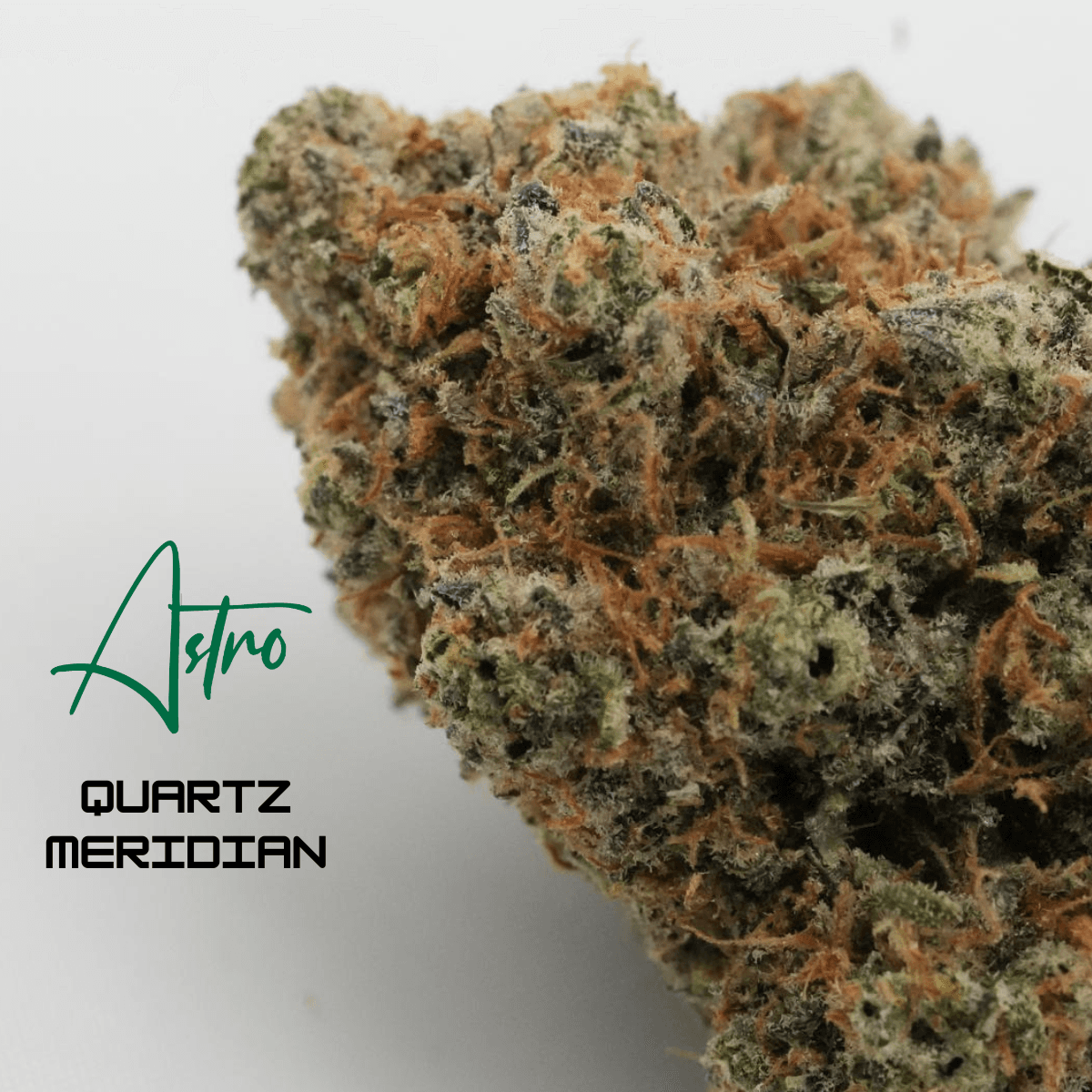 Astro Quartz Meridian