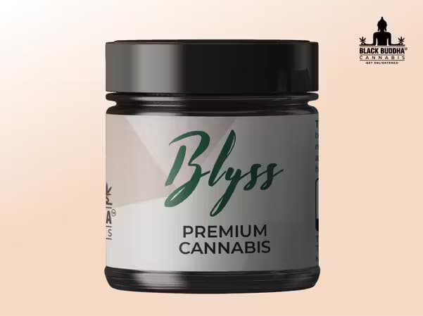 Black Buddha Cannabis Blyss Mint Cream Cake