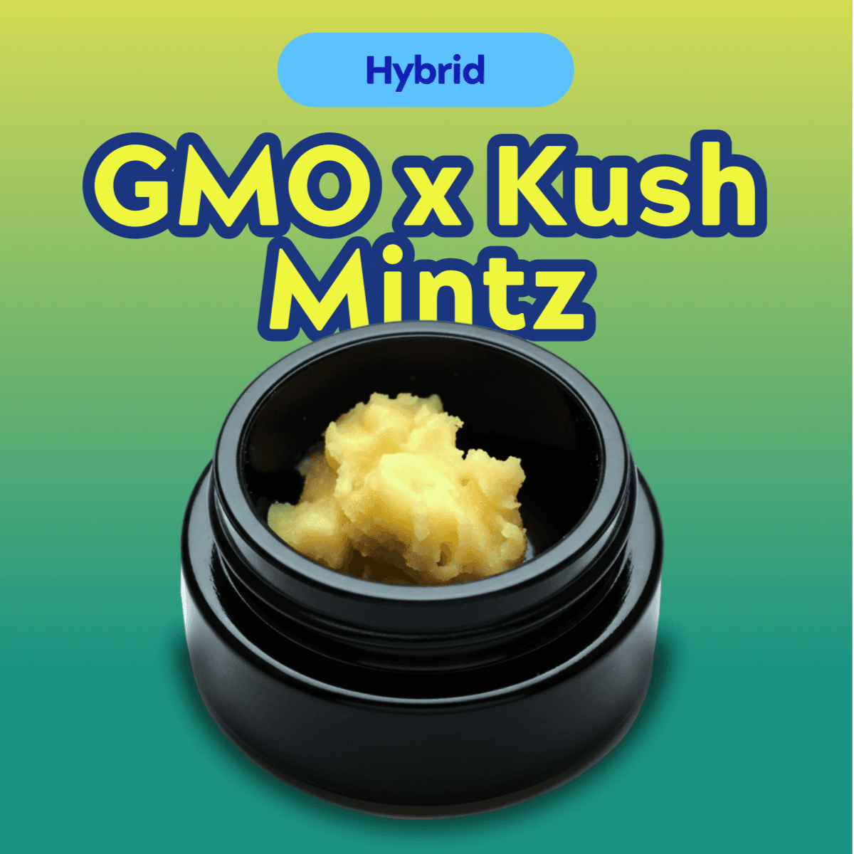 North Lake Supply GMO x Kush Mintz Live Resin Badder
