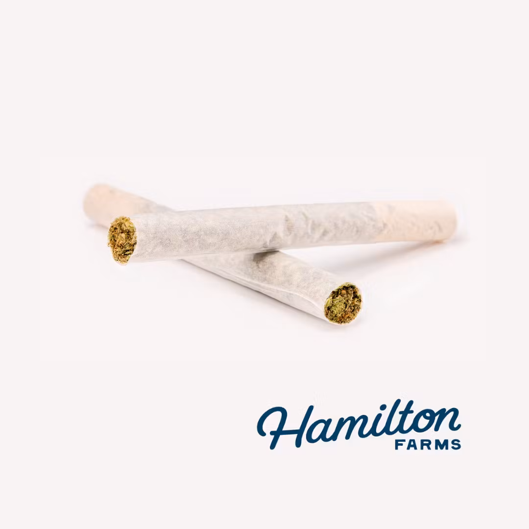 Apple Jelly Pre-Rolls 2pk/1g