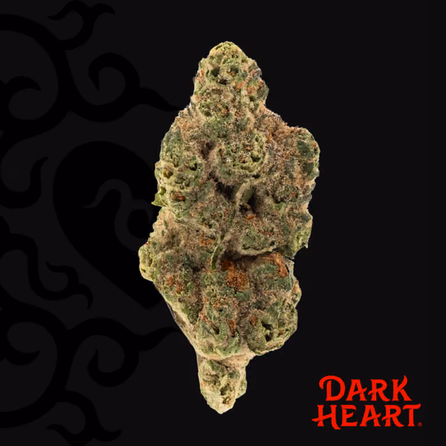 Moonbeam Gelato