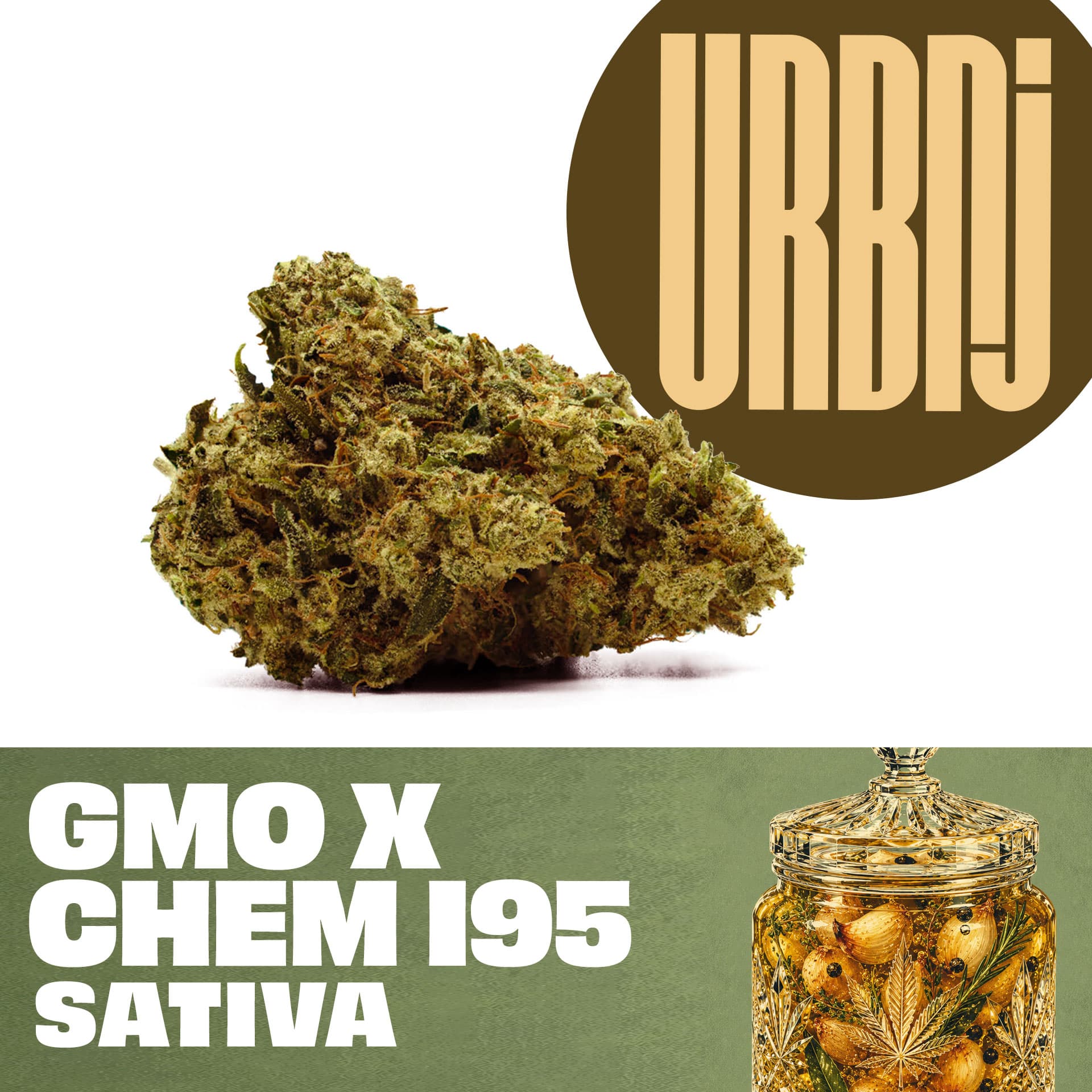 URBNJ GMO x Chem I-95 Smalls