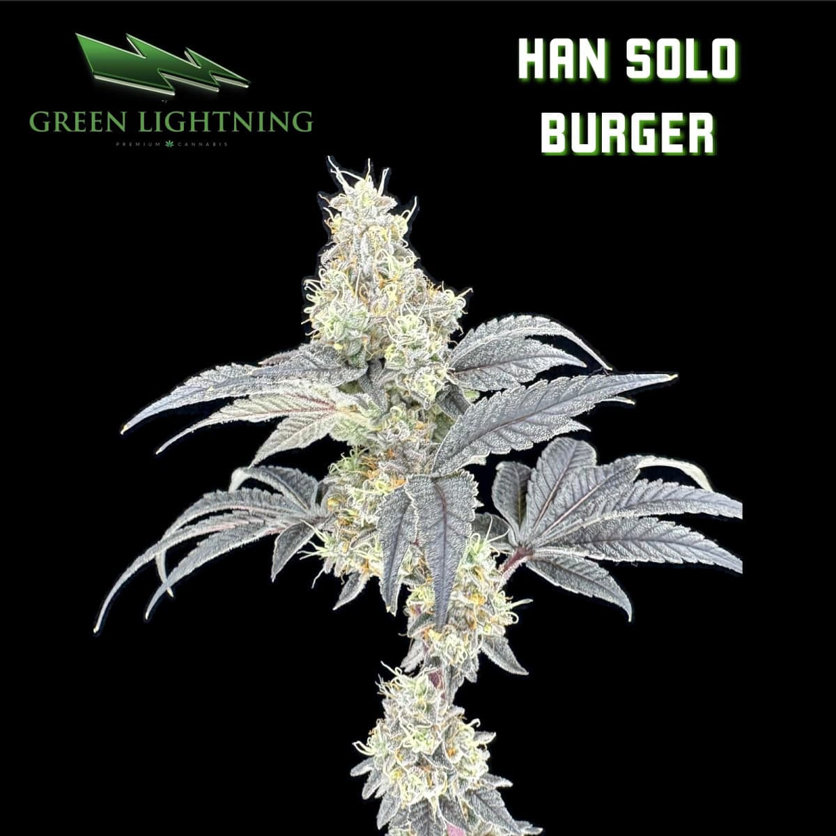 Green Lightning Cultivation Han Solo Burger Smalls