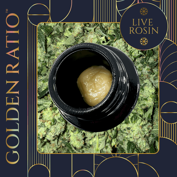 Concentrates at Cottonmouth Dispensary in Runnemede, New Jersey