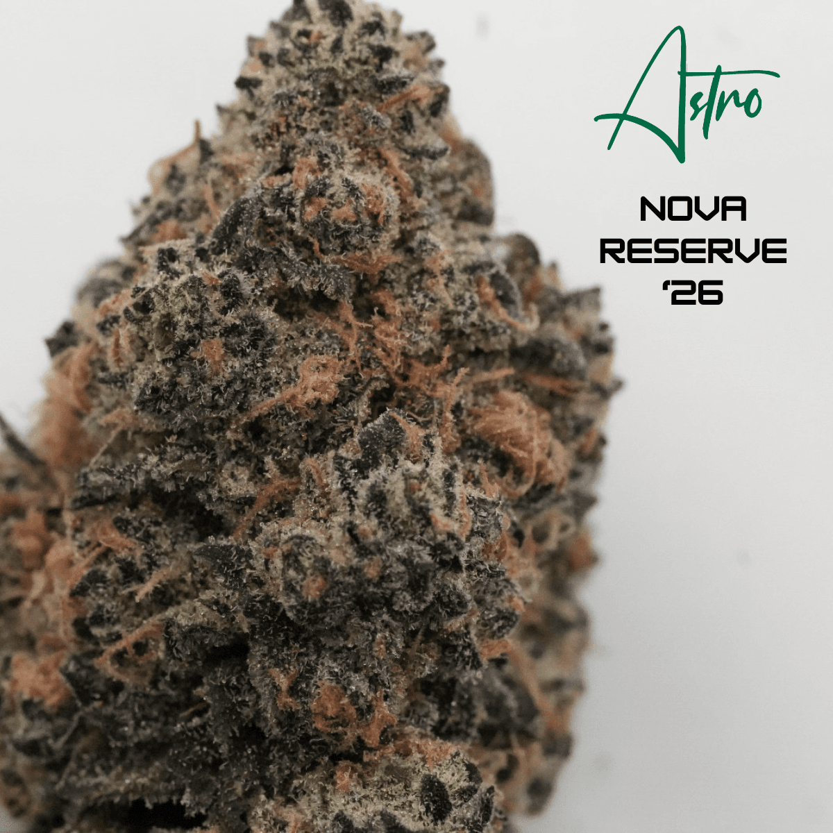 Astro Nova Reserve '26