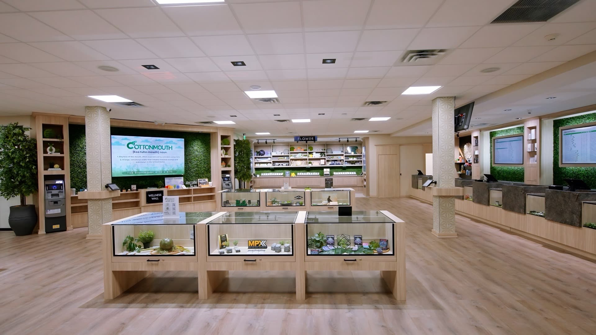 Cottonmouth Dispensary sales floor