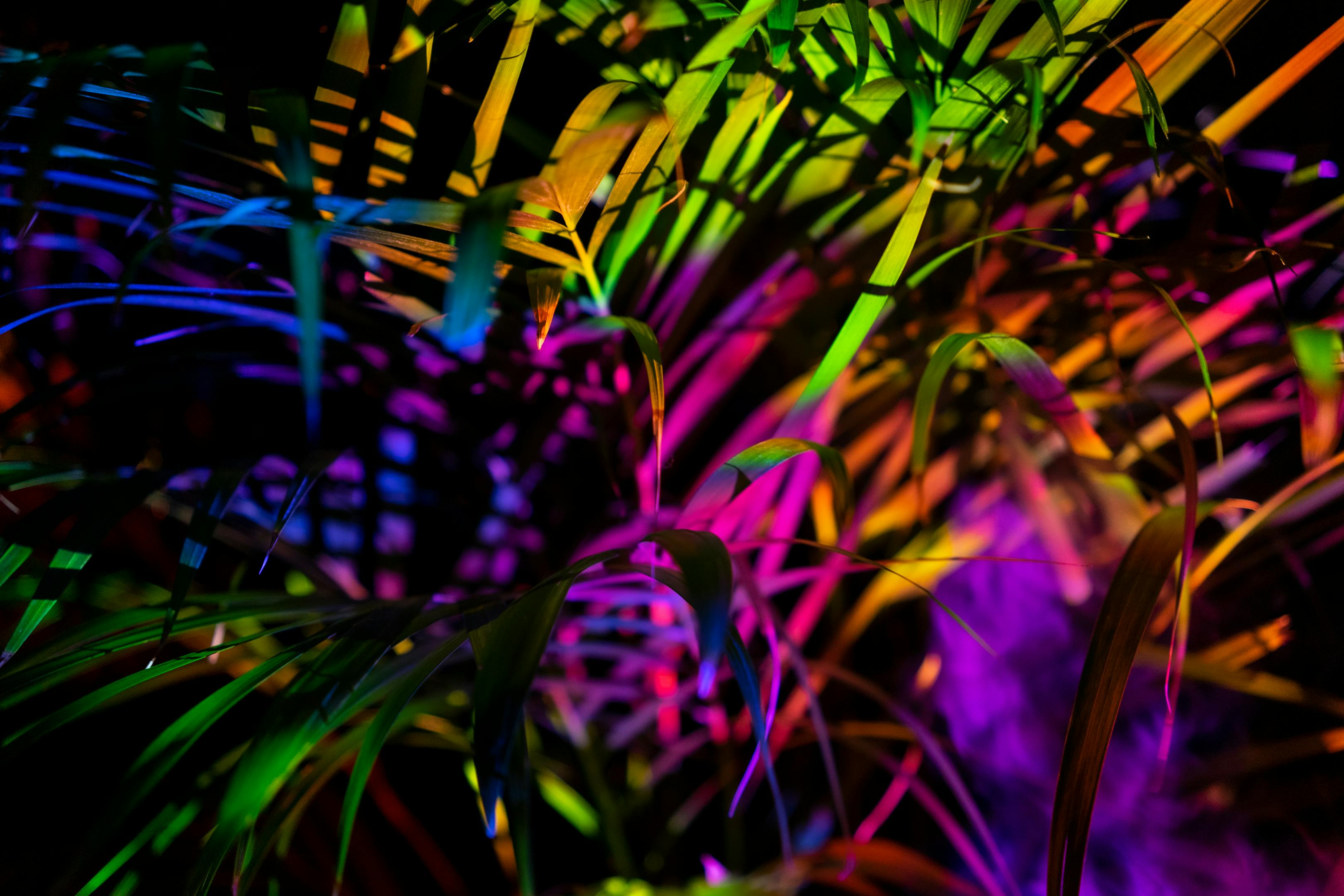 Dramatic dark background evoking myth-busting and clarity